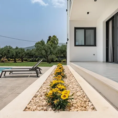 Zenith White Elegant 2 Kalpaki (Zakynthos)