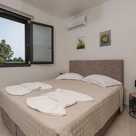 Zenith White Elegant 2