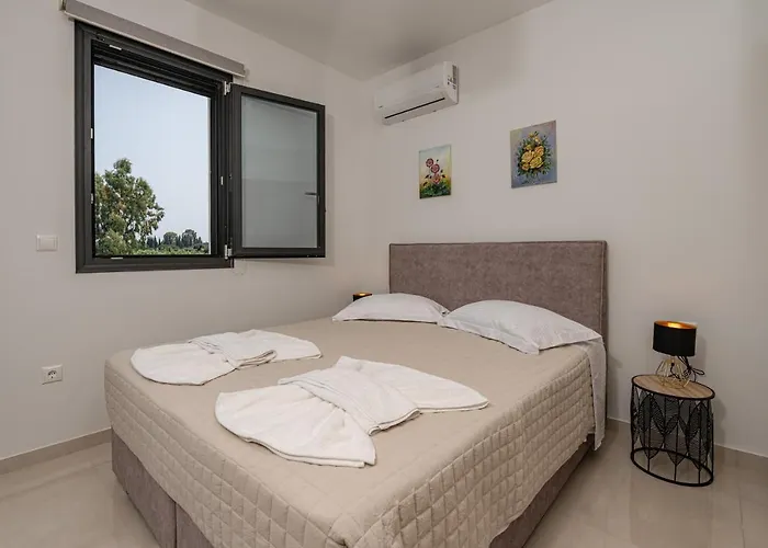 Zenith White Elegant 2